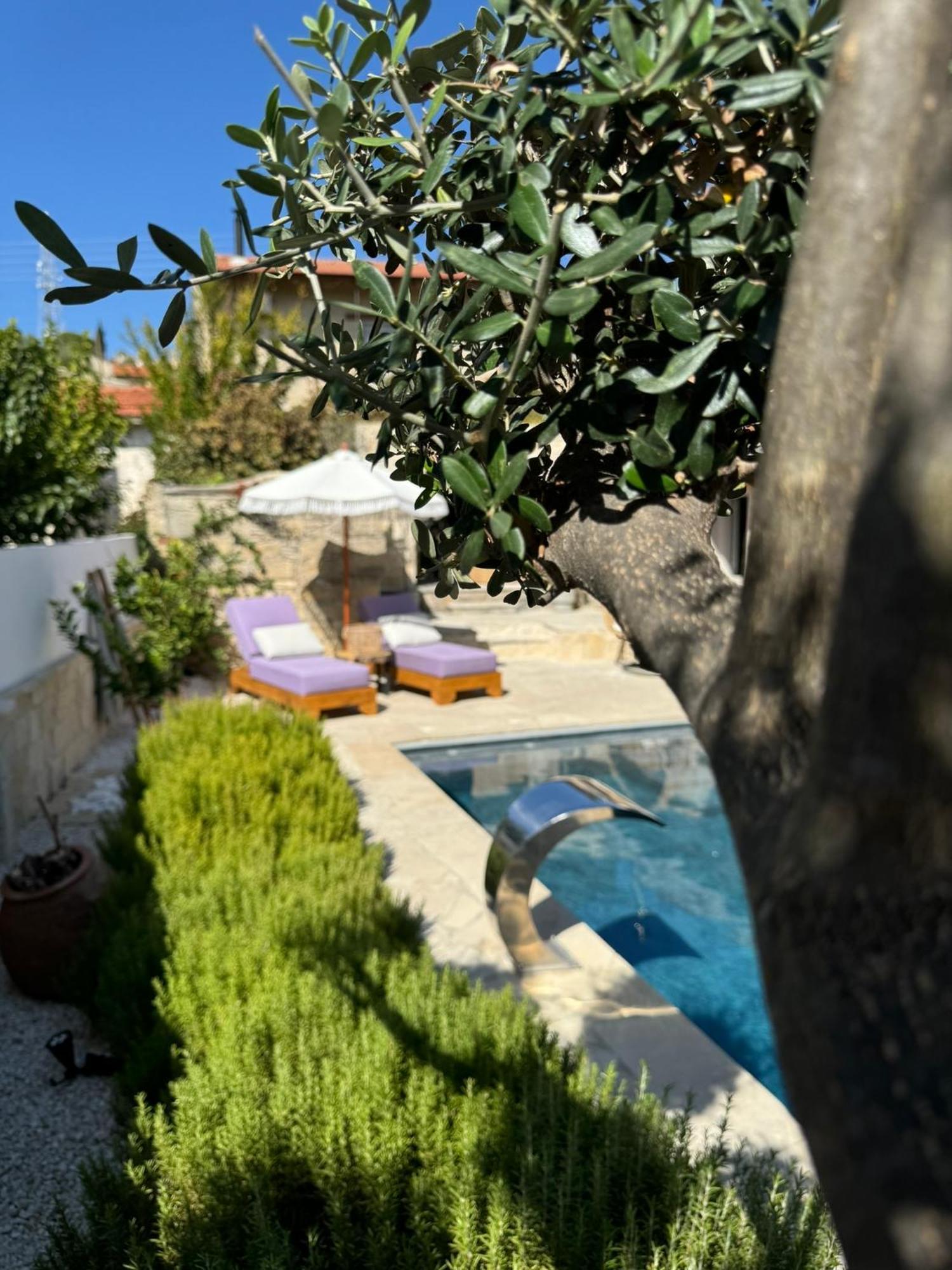 Fig&Olive Luxury One Bedroom Boutique In Pachna Λεμεσός Εξωτερικό φωτογραφία