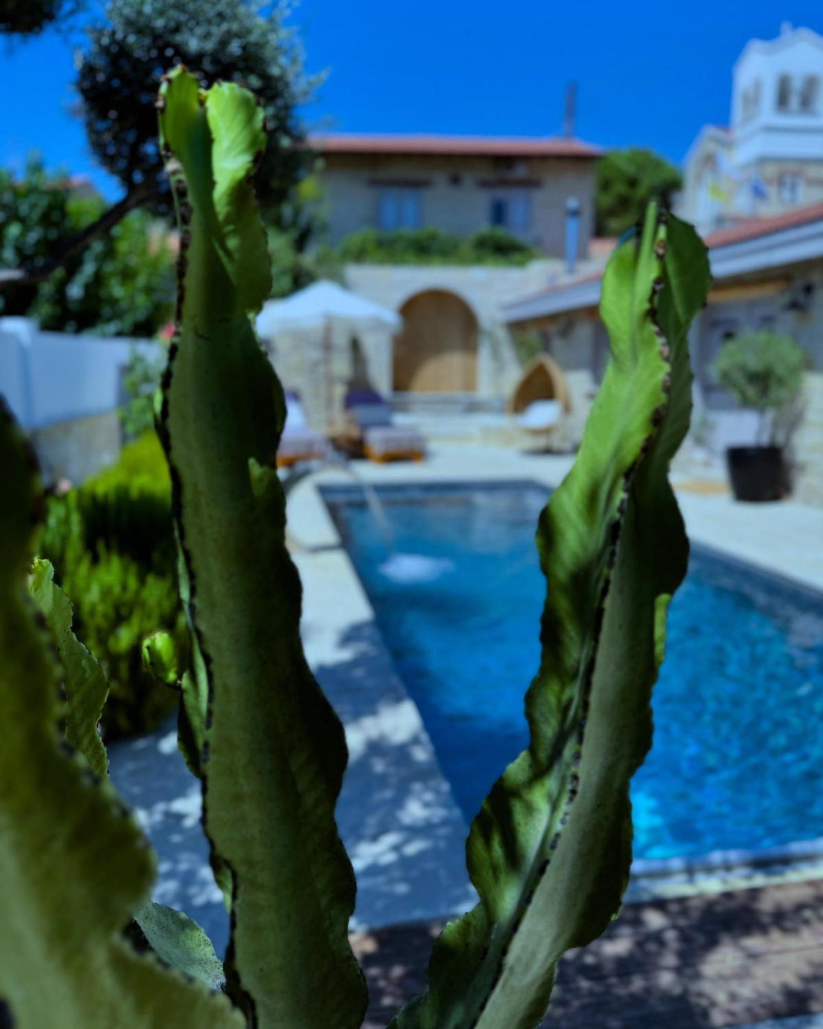 Fig&Olive Luxury One Bedroom Boutique In Pachna Λεμεσός Εξωτερικό φωτογραφία